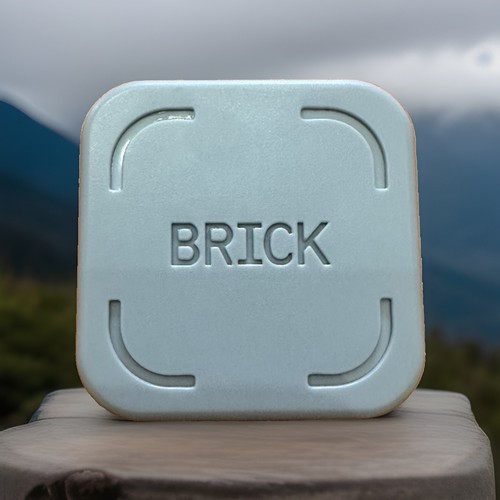 The brick screen - the,